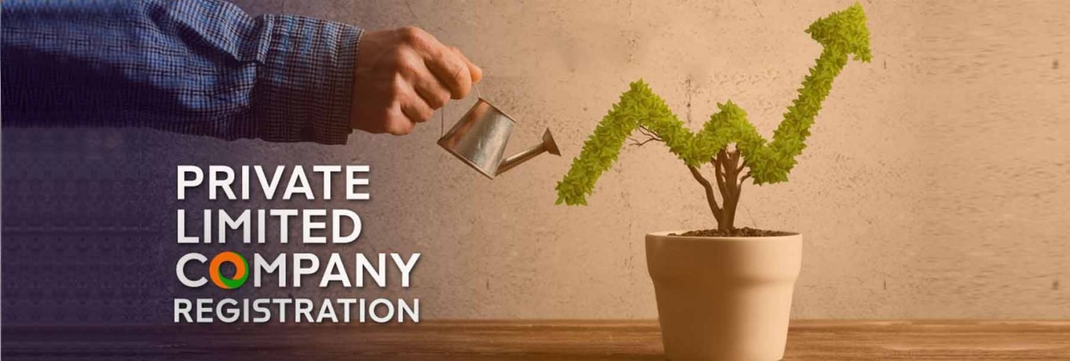 private limited company