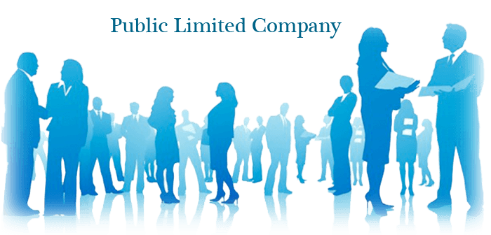 public limited company